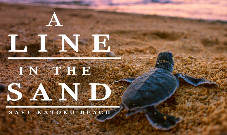 A line in the sand : Save Katoku beach, a free documentary.
