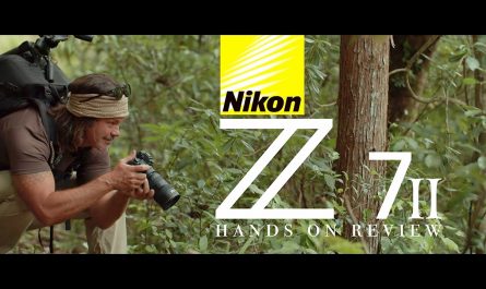 Nikon z7ii mirrorless camera review