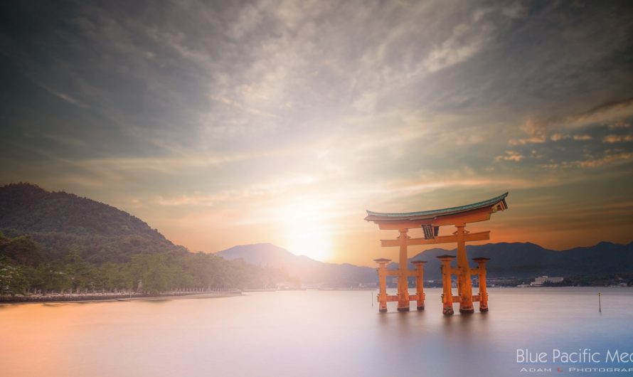 Capturing the Beauty of Japan Through the Eyes of a Professional Photographer