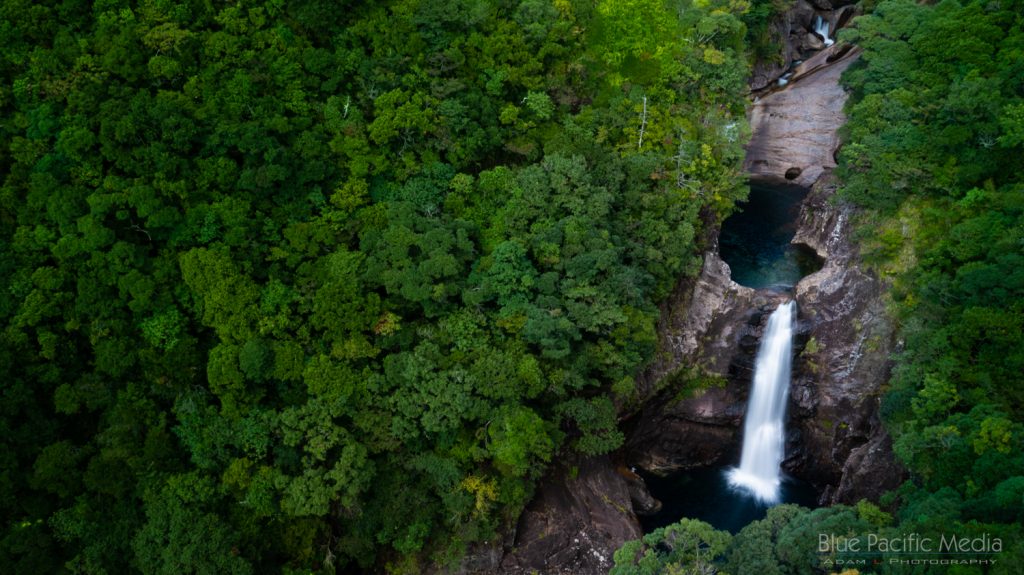 神様の住む島、屋久島 4K